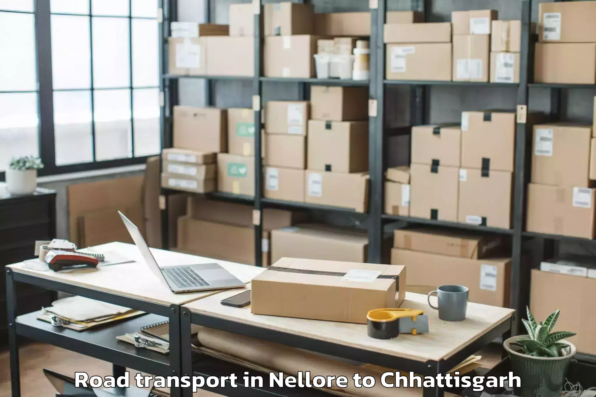 Top Nellore to Op Jindal University Raigarh Road Transport Available